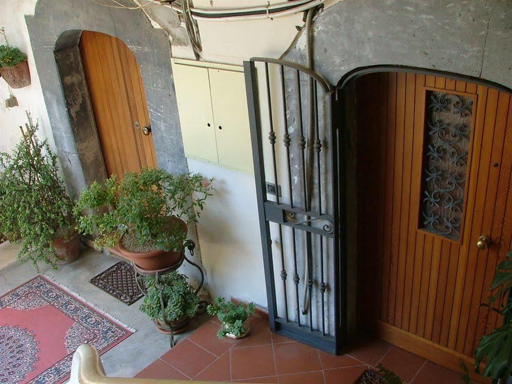 Orchid Corner Guesthouse Meta Exterior foto
