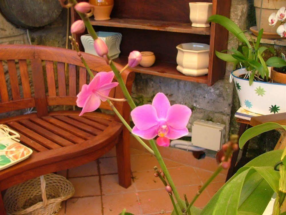 Orchid Corner Guesthouse Meta Exterior foto